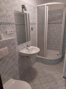 W łazience znajduje się toaleta, umywalka i prysznic. w obiekcie Chalupa a apartmány Marika w mieście Cerny Dul