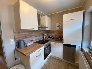 eine kleine Küche mit weißen Schränken und einem Waschbecken in der Unterkunft Lagerhaus Gabriel in Zweibrücken
