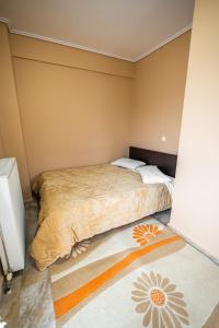 a bedroom with two beds and a rug on the floor at Enastron in Kalavrita