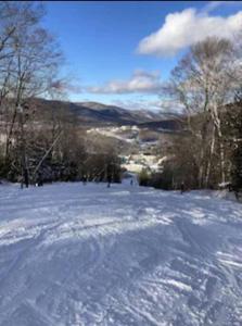 冬天的Gorgeous New Zen Suite Sleeps 4-Ski On Off Jiminy