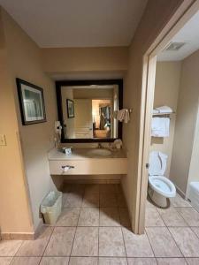 y baño con lavabo, aseo y espejo. en lovely entire Suite with kitchen 5 Min to Disney, en Orlando