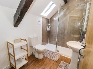 a bathroom with a toilet and a shower and a sink at Stabla in Pwllheli