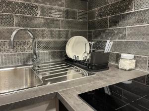 eine Küchentheke mit einer Spüle und einem Mixer in der Unterkunft Aizkraukle Penthouse apartment in Aizkraukle