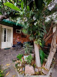 une maison avec un arbre dans la cour avant dans l'établissement El Chabot Fan, à Salta