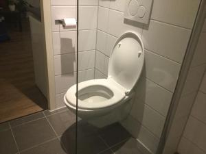 een badkamer met een wit toilet in een stal bij Studio, 21 minutes by bus to downtown Amsterdam in Purmerend
