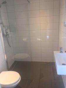 een badkamer met een douche, een toilet en een wastafel bij Studio, 21 minutes by bus to downtown Amsterdam in Purmerend