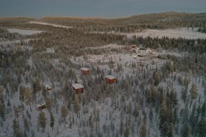 an aerial view of a forest with trees and houses at Aurora Husky Hut in Inari