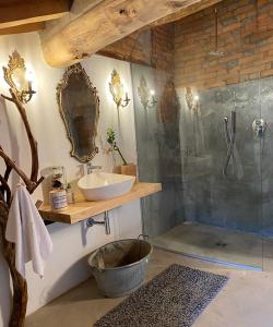 La salle de bains est pourvue d'un lavabo et d'une douche. dans l'établissement Il Corvo Viaggiatore, à Solarolo Monasterolo