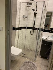 a bathroom with a shower and a toilet and a sink at Apartament Wrocławska blisko zamku Książ in Wałbrzych +9 photos