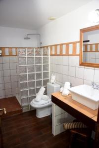 une salle de bain avec toilettes, lavabo et miroir dans l'établissement Hotel Rural Finca La Hacienda, à Los Silos