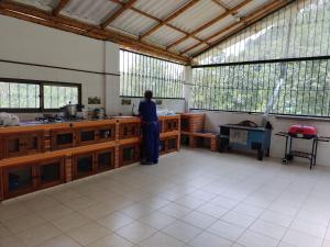 Fotografie z fotogalerie ubytování Casa Flórez Hotel Campestre v destinaci Ibagué