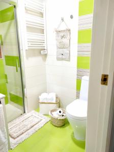 グラナダにあるApartamentos Centro CasaBellaの緑と白のバスルーム(トイレ、シャワー付)
