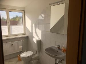ein Bad mit einem WC, einem Waschbecken und einem Fenster in der Unterkunft Monteur-Pension W8 in Bad Schmiedeberg