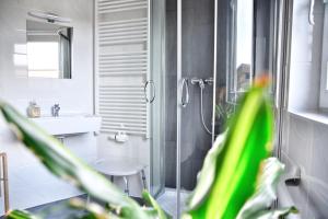 a bathroom with a shower and a sink at Stettiner Haff Nebengebäude in Mönkebude +39 photos