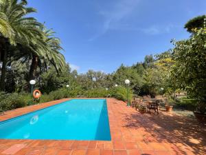 a blue swimming pool with chairs and trees at Dúplex de invitados en medio del bosque in Firgas
