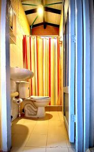 baño con aseo y cortina de ducha colorida en Sidarta, Casa Grande - Bella Casita, Casa Pequeña, en Chocontá