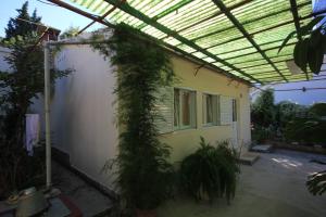 Vonkajšia záhrada v ubytovaní Seaside holiday house Cove Rogacic, Vis - 8886