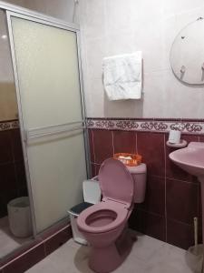 een badkamer met een roze toilet en een wastafel bij Casa entera, los clientes pueden usar todo el espacio y no tendrán que compartirlo con el anfitrión ni con otros huéspedes in Barrancabermeja