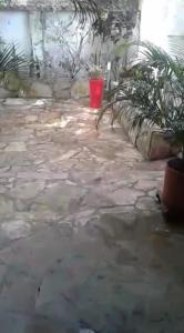 een patio met planten en een rode emmer bij Casa entera, los clientes pueden usar todo el espacio y no tendrán que compartirlo con el anfitrión ni con otros huéspedes in Barrancabermeja