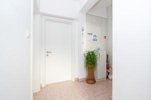 Fotografie z fotogalerie ubytování Apartment Mandre 4093b v destinaci Mandre