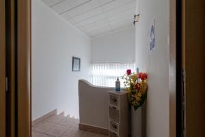 Fotografie z fotogalerie ubytování Apartment Mandre 4093b v destinaci Mandre