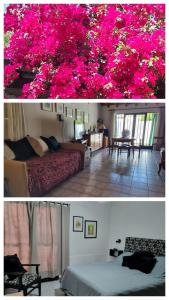 two pictures of a bedroom with pink flowers at La casa de Chiqui in Mendoza