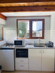 uma cozinha com um lavatório e um micro-ondas em La Tante em San Carlos de Bariloche