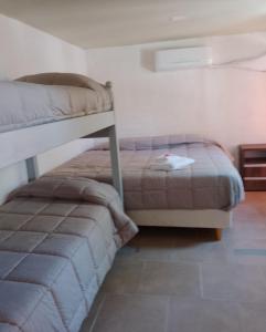 een slaapkamer met 2 stapelbedden in een kamer bij Antü in Puerto Pirámides