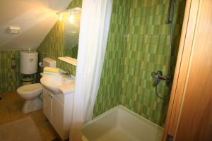 a green bathroom with a sink and a shower at Apartment and Room Lada in Sumartin +17 photos