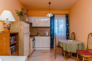 Kuchyňa alebo kuchynka v ubytovaní Apartment Benzon