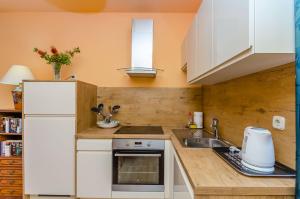 Kuchyňa alebo kuchynka v ubytovaní Apartment Benzon