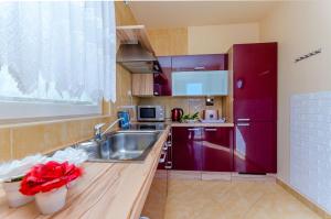 Kuchyňa alebo kuchynka v ubytovaní Apartment Benzon