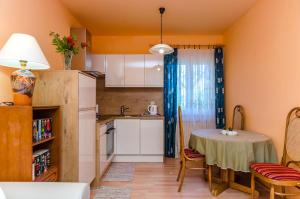 Kuchyňa alebo kuchynka v ubytovaní Apartment Benzon