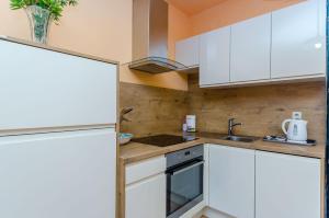 Kuchyňa alebo kuchynka v ubytovaní Apartment Benzon