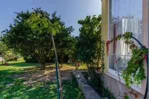 Vonkajšia záhrada v ubytovaní Apartment Benzon