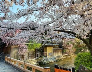 Aed väljaspool majutusasutust Rinn Gion Shirakawa