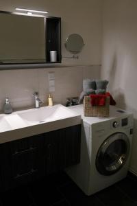 y baño con lavadora y lavamanos. en Ferienwohnung Eisblick, en Braunlage