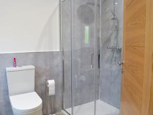 a bathroom with a toilet and a glass shower at Inverallan in Amisfield Town