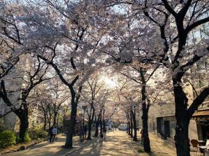 Foto Kyotos asuva majutusasutuse Rinn Gion Shirakawa galeriist
