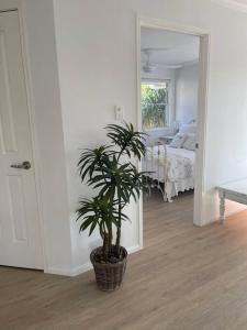 a potted plant in a room with a bedroom at Studio Seaside Self-contained apartment in Marcoola