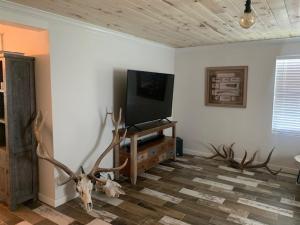 uma sala de estar com televisão e uma cabeça de veado no chão em Valentine's Northern New Mexico Mountain Ranch on Colorado Border retreat em Raton