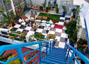阿格拉The Coral House Homestay by the Taj的相册照片