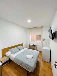 1 dormitorio con 1 cama grande y TV en HOSPEDAJE COLONIA VALLECAS, en Madrid