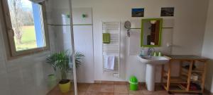 a bathroom with a shower and a sink and a mirror at Chambres d'Hôtes Relais Milord in Estialescq +29 photos