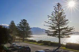 a road with cars parked next to a beach with a tree at Waves on the Esplanade in Kaikoura