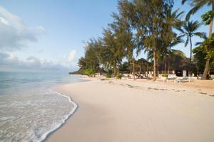 a sandy beach with palm trees and the ocean at F-Zeen Boutique Hotel Zanzibar in Uroa