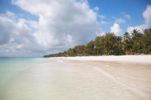 - une plage avec des palmiers et l'eau dans l'établissement F-Zeen Boutique Hotel Zanzibar, à Uroa