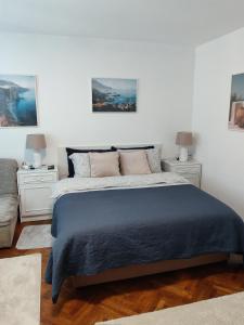 a bedroom with a large bed and two night stands at Apartment Miljakovac in Belgrade