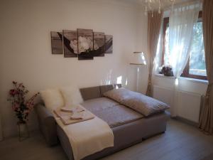 Fotografia z galérie ubytovania Patak apartman v destinácii Eger