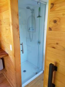 a shower with a glass door in a room at Maitai Whare Iti - Adventure Cabins & House in Nelson